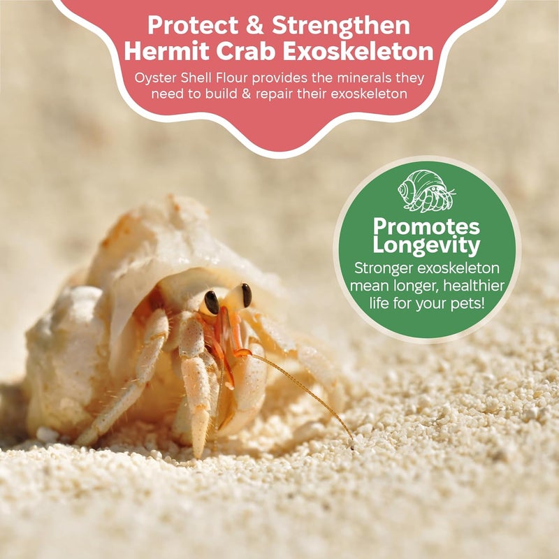 Snout and Shell Oyster Shell Supplement for Hermit Crabs – Natural Calcium Source for Molting Support – Auto Feeder Compatible – USA-Sourced Crushed Shell Powder for Stronger Exoskeletons and Shell Health - Image 3